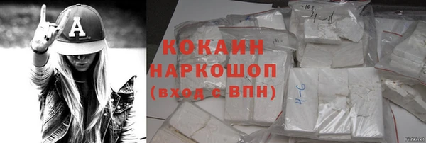 прущие грибы Абаза
